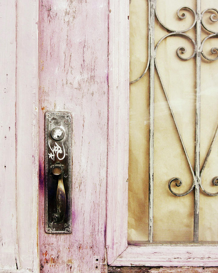 Pink Door Photograph by Lupen Grainne