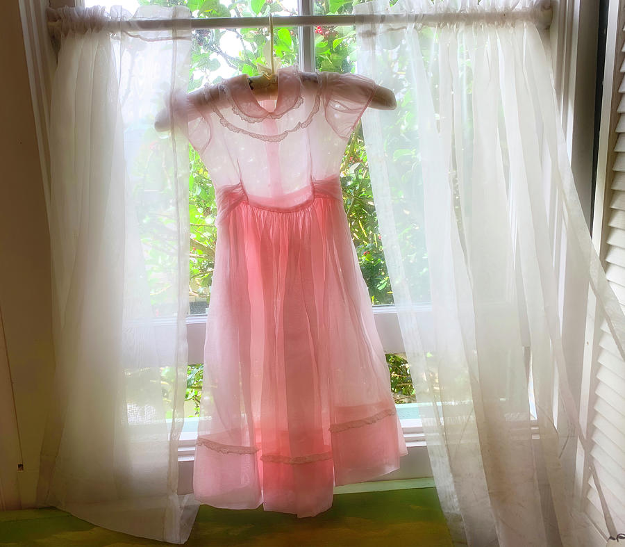 Still Life Photograph - Pink Dress In Window by Garry Gay