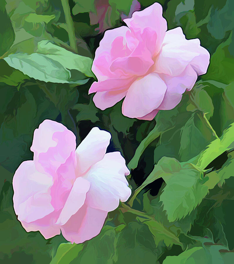 Pink Duet in Acrylic Photograph by Roberta Byram Pink Duet in Acrylic Photograph by Roberta Byram