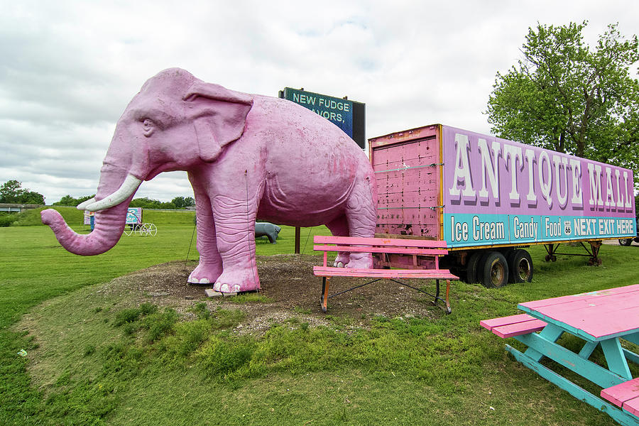 Pink Elephant Antique Mall Photograph