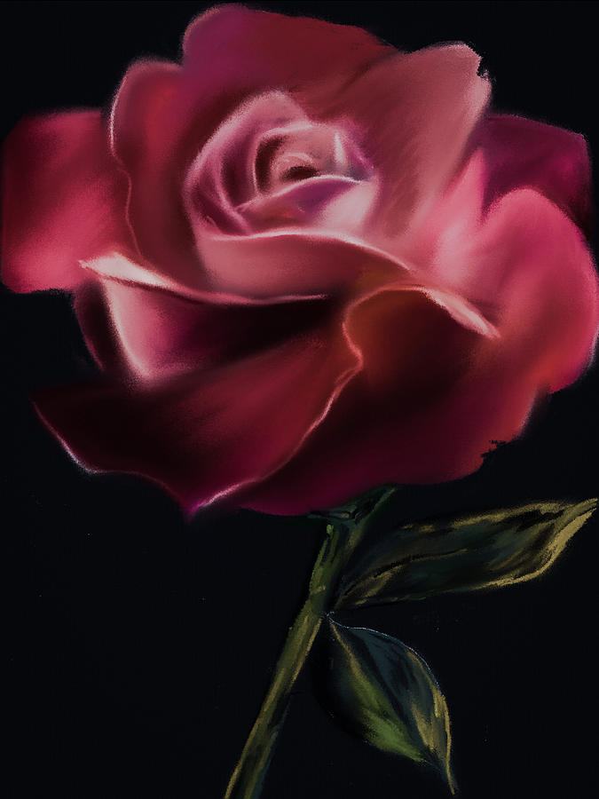 Pink Empress Rose Digital Art by Michele Koutris