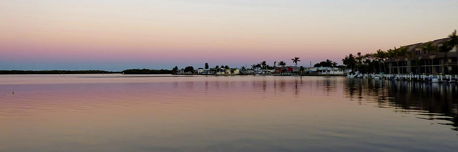 Pink Evening in Fort Myers, Florida Photograph by Lyuba Filatova