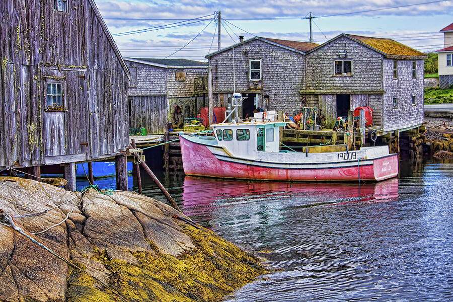 Pink fishing boat at Peggys Cove Photograph by Tatiana Travelways