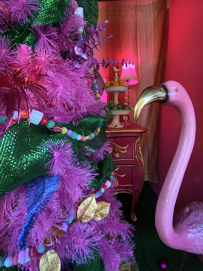 Pink Flamingo Christmas, St. Augstine, Florida Photograph by Dawna Moore Photography