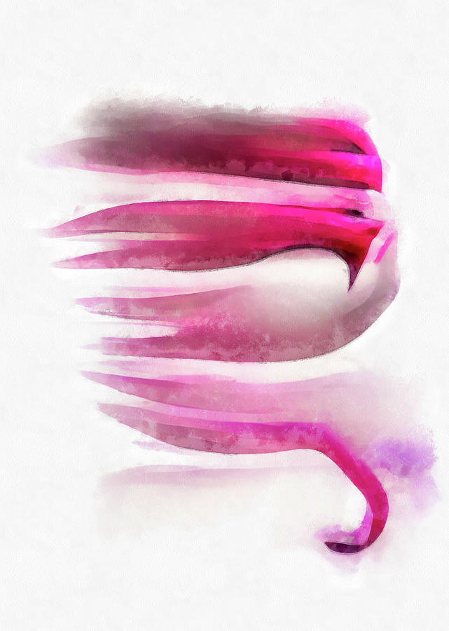 Pink Flamingo Feathers 03 Abstract Watercolor Painting by Matthias Hauser