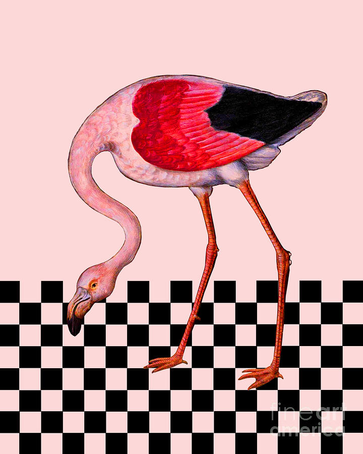 3 Pink Flamingo