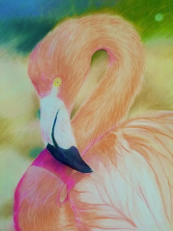 Pink Flamingo Portrait  Pastel by Joe Roache
