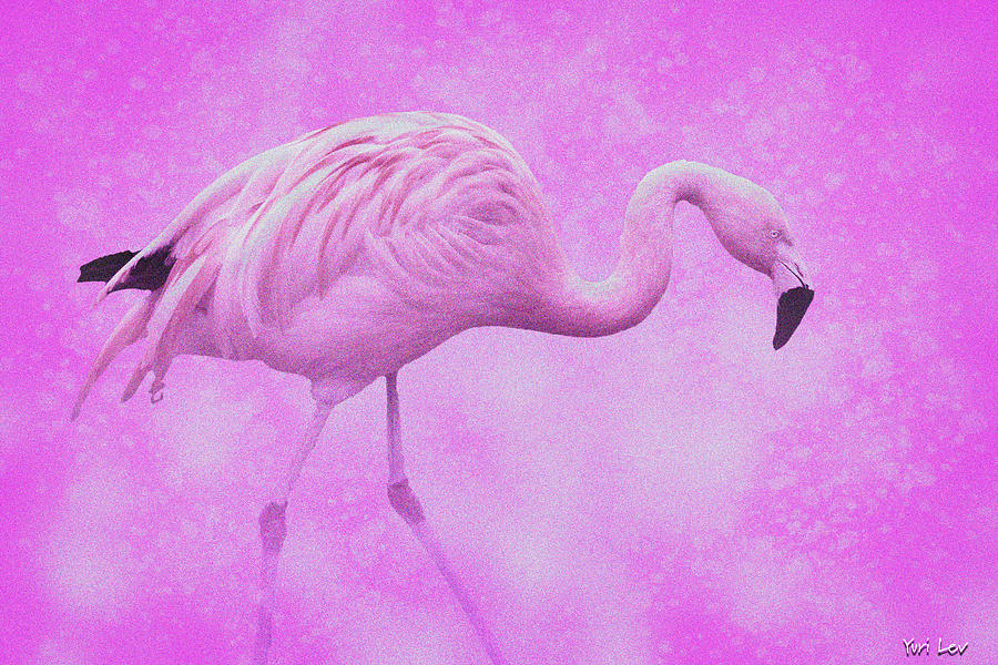 Flamingo Mixed Media - Pink Flamingo Too by Yuri Lev
