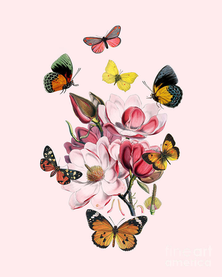 Magnolia Movie Digital Art - Pink Floral Butterflies by Madame Memento