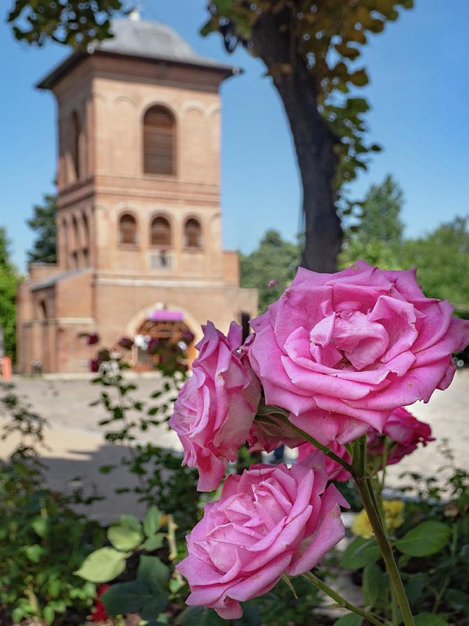 Architecture Photograph - Pink Flower and Church - Bucharest, Romania by Barry O Carroll