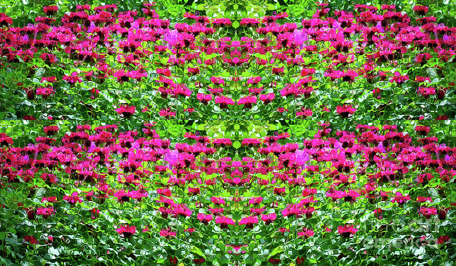 Pink Flower Garden Design Photograph