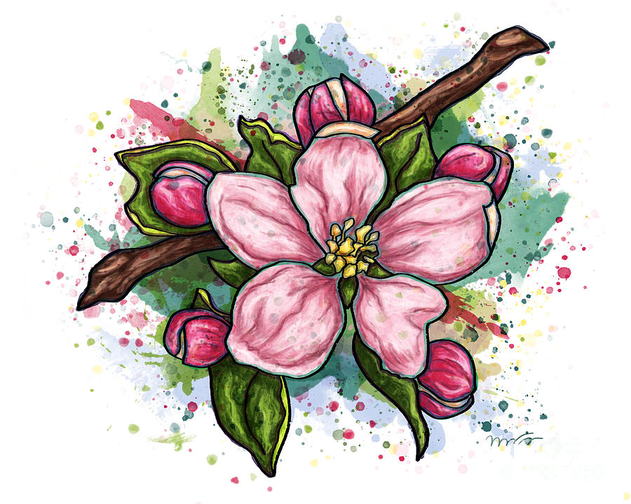Pink flower on white background, cherry blossom Painting by Nadia CHEVREL