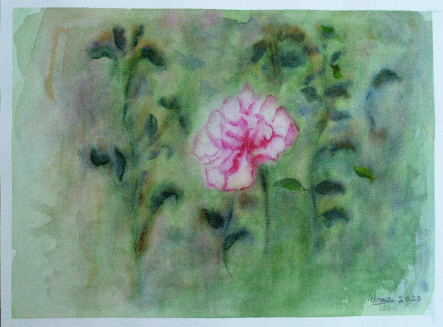 Pink flower Painting by Uma Krishnamoorthy