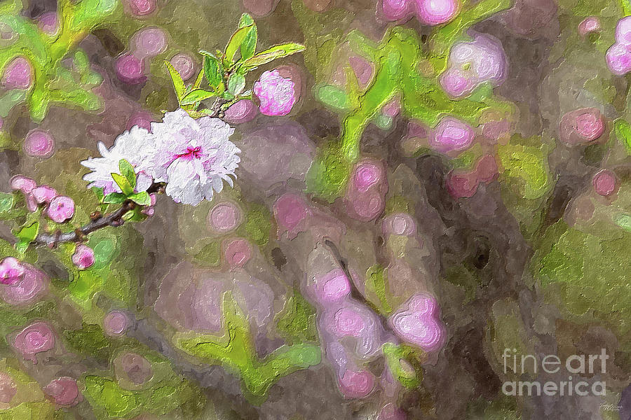 Pink Flowering Almond Blossom Painterly Mixed Media by Jennifer White