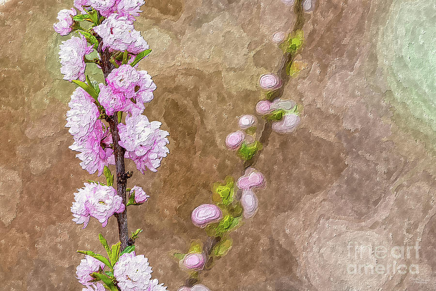 Pink Flowering Almond Branch Painterly Photograph by Jennifer White