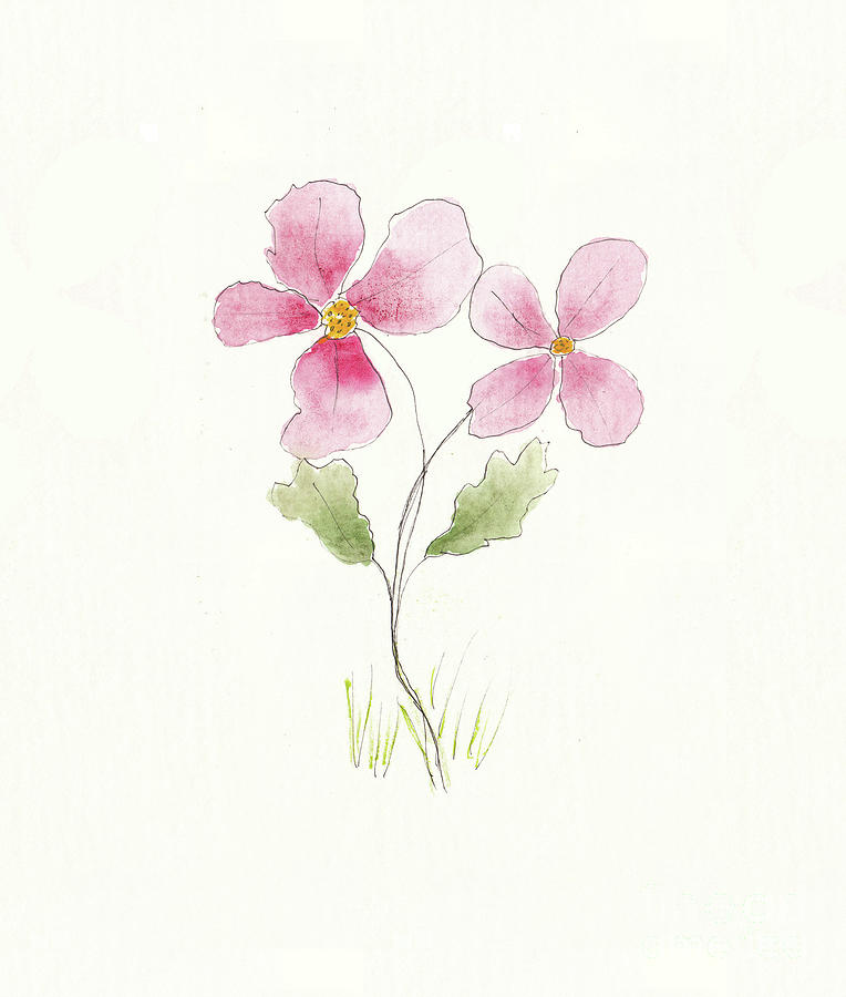 Pink Flowers 2 Sketch Mixed Media by Conni Schaftenaar