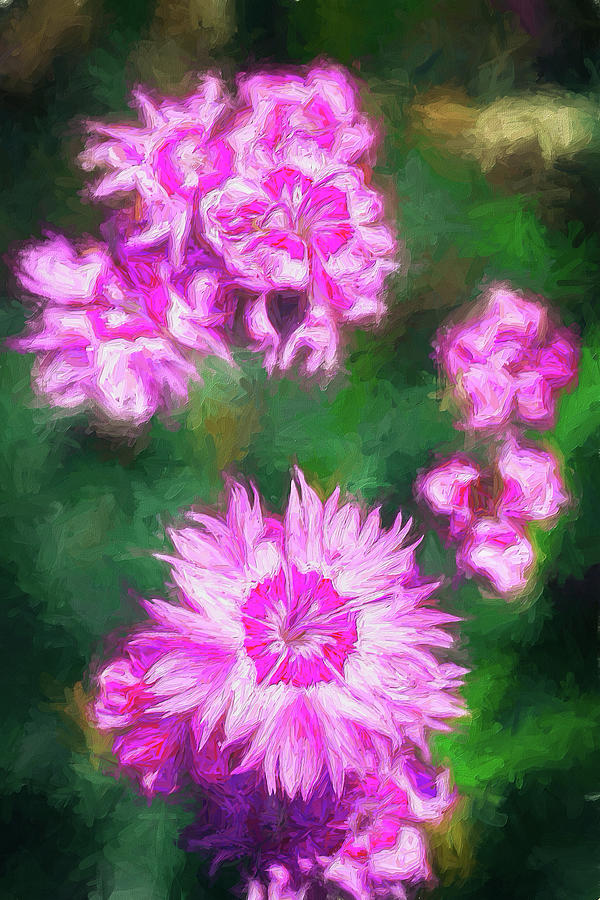 Pink Flowers at Raulston ap Painting by Dan Carmichael