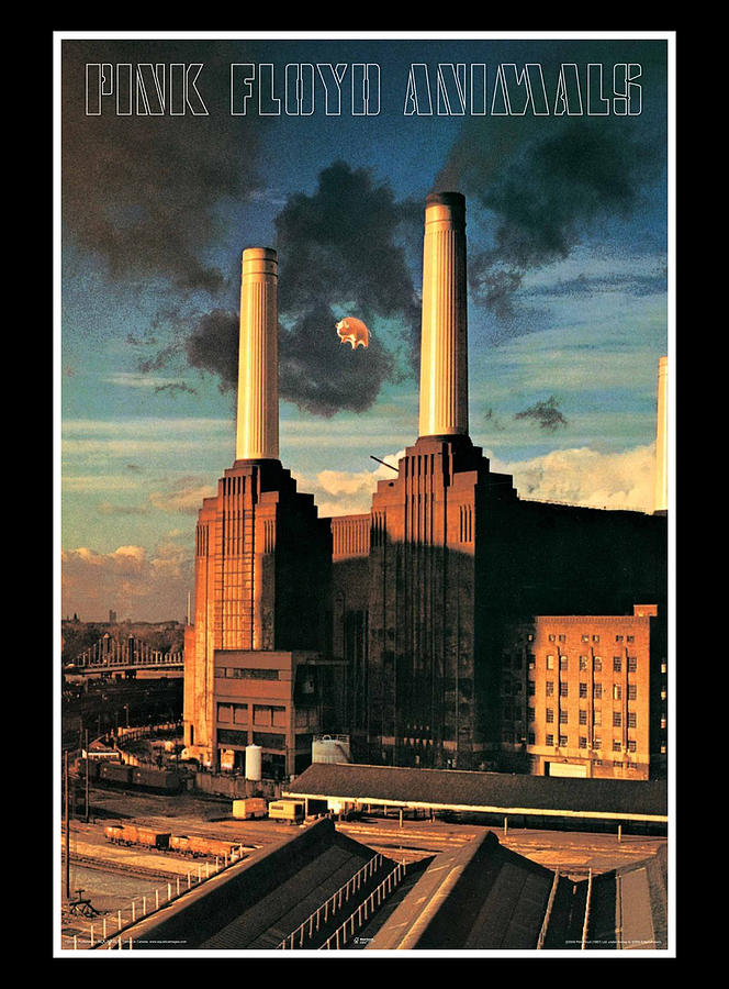 Pink Floyd Animals Digital Art by Asep Sendowo - Fine Art America