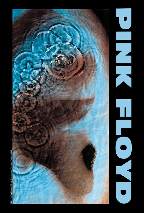 Pink Floyd - Meddle Digital Art by Sister Larkin - Fine Art America