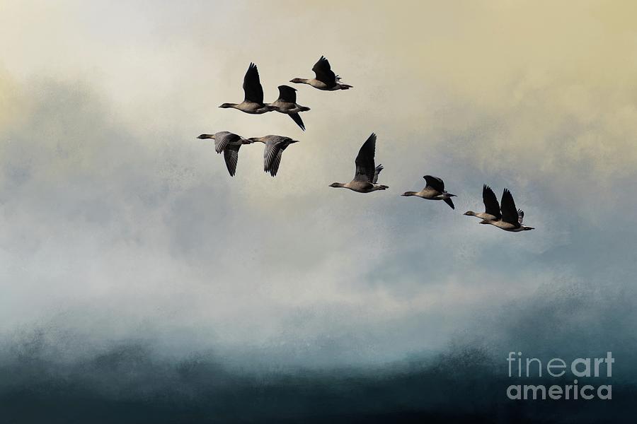 Pink-Footed Geese in Flight Mixed Media by Eva Lechner