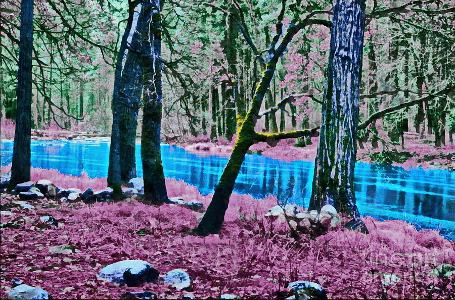 Pink Forest Digital Art by Yorgos Daskalakis