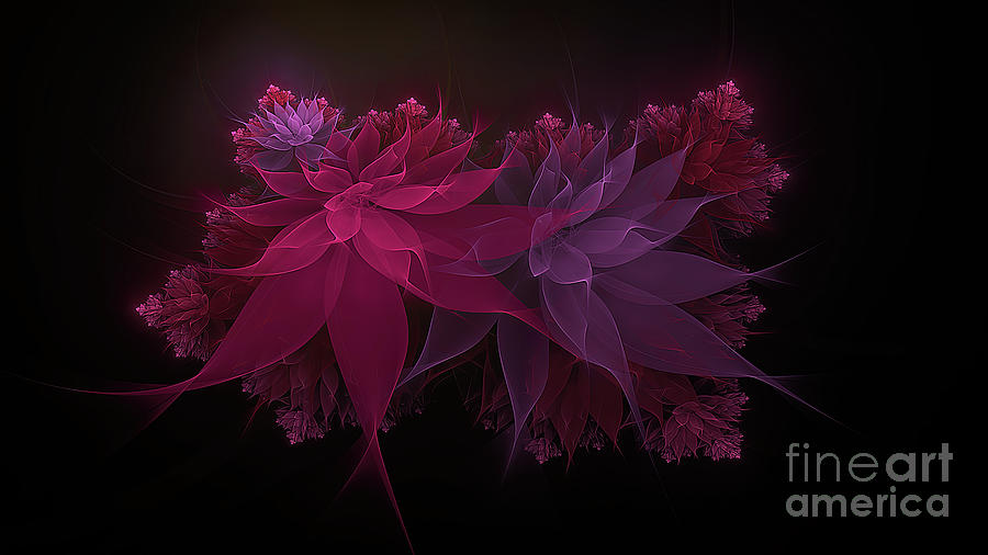 Pink Photograph - Pink Fractal Bloom by Jack Torcello