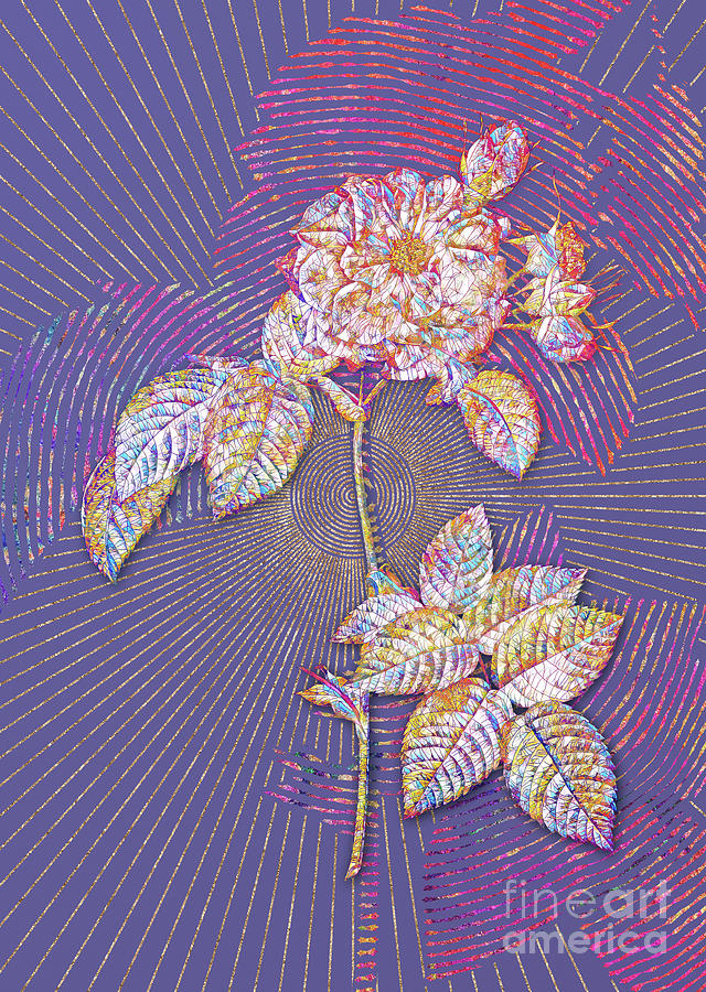 Pink Francfort Rose Mosaic Botanical Art on Veri Peri n.0302 Mixed Media by Holy Rock Design