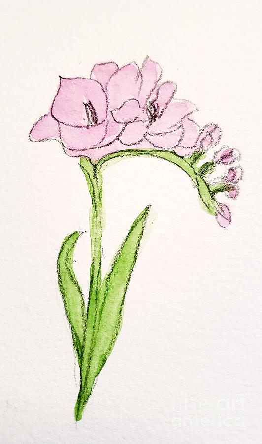 Pink Freesia  Painting by Margaret Welsh Willowsilk