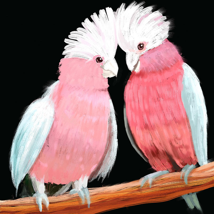 Pink Galahs Painting by Luke Dwyer - Fine Art America