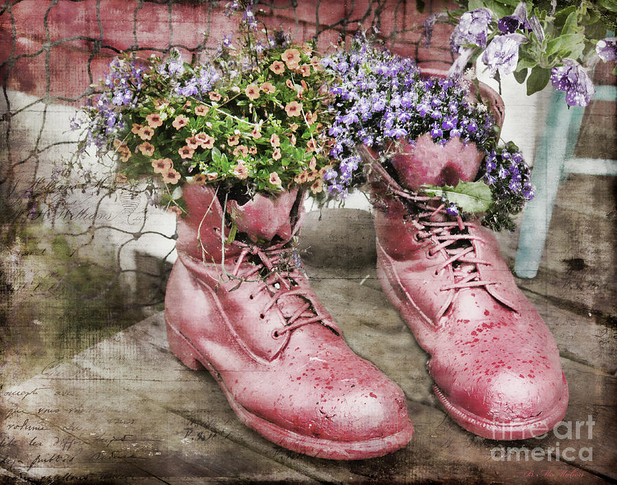 Pink Garden Boots Photograph by Barbara McMahon - Fine Art America