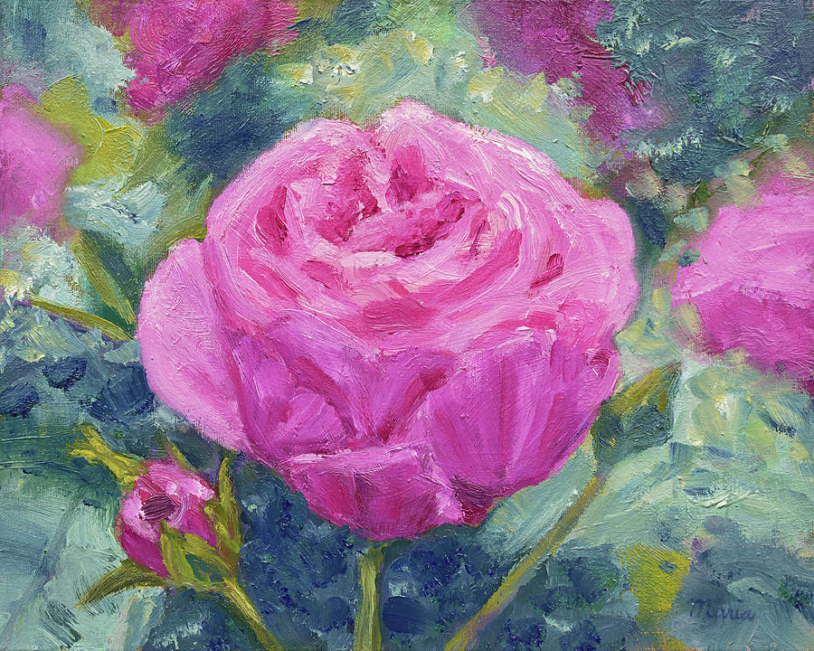 Pink Garden Rose Painting by Maria Meester