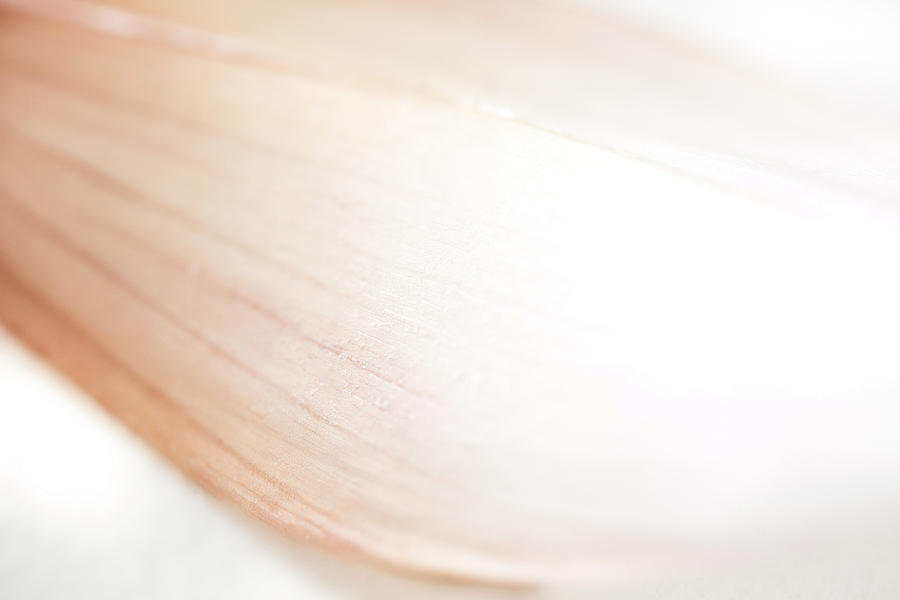 Pink Garlic Skin Drape Photograph by Iris Richardson