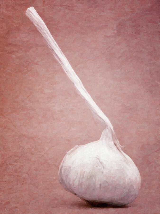 Pink Garlic Painting by Wim Lanclus