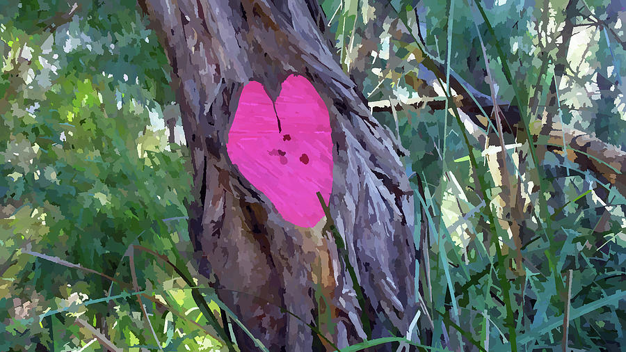 Pink Heart in a Tree Trunk Photograph by Kathrin Poersch