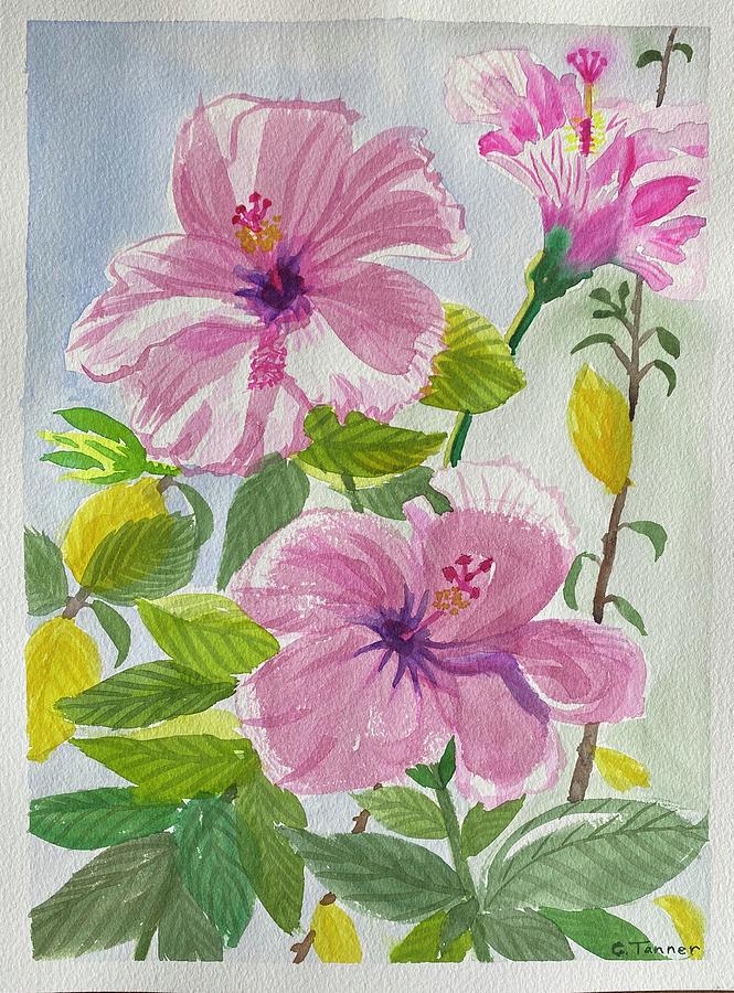 Pink Hibiscus Painting by Cindy Bale Tanner