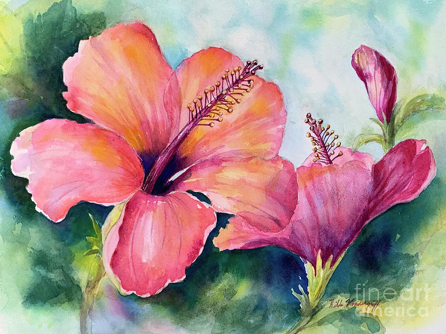 Pink Hibiscus  Painting by Hilda Vandergriff