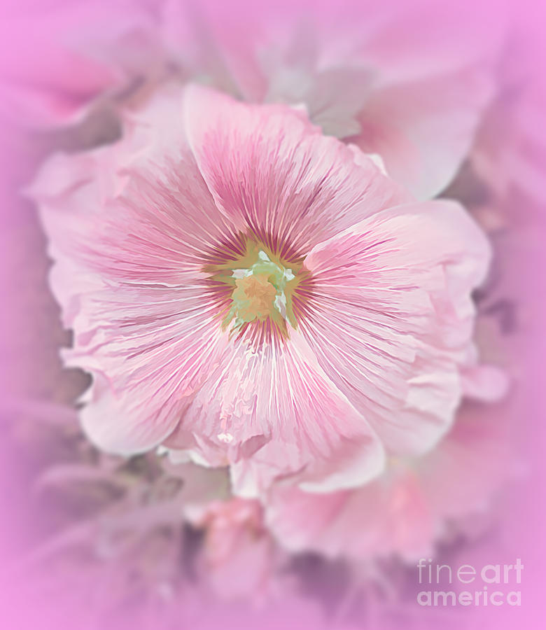 Pink Hollyhock Photograph by Luther Fine Art