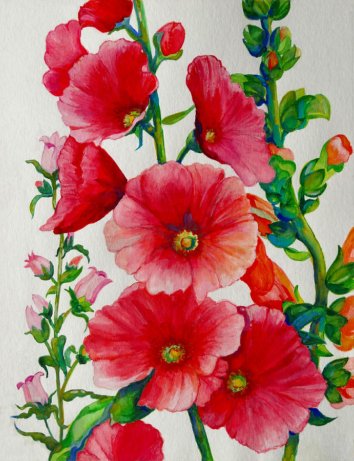 Hollyhocks Painting - Pink Hollyhocks by Barbara Esposito