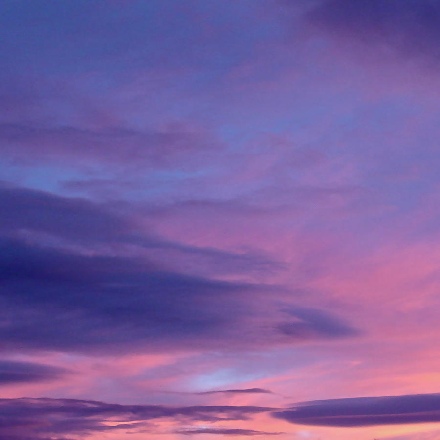 Pink Horizon Photograph by Bonnie See - Fine Art America