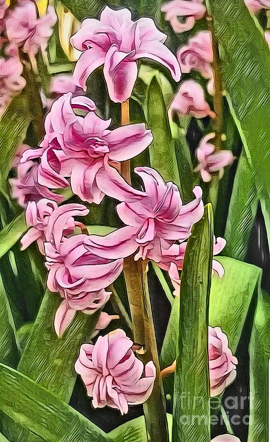 Pink Hyacinth  Digital Art by Rachel Hannah