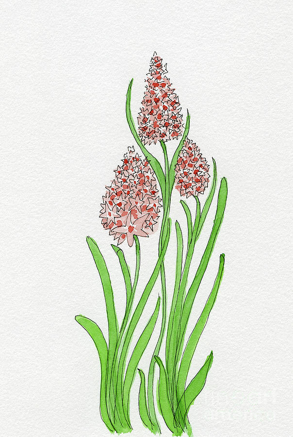 Pink Hyacinths Painting by Norma Appleton