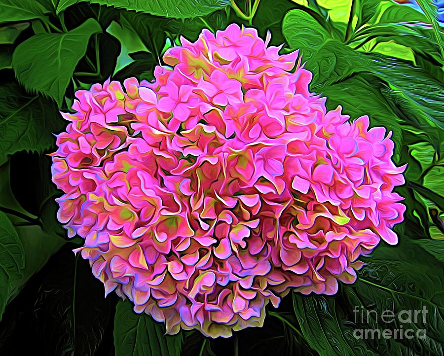 Pink Hydrangea Abstract Expressionism Effect Photograph by Rose Santuci-Sofranko
