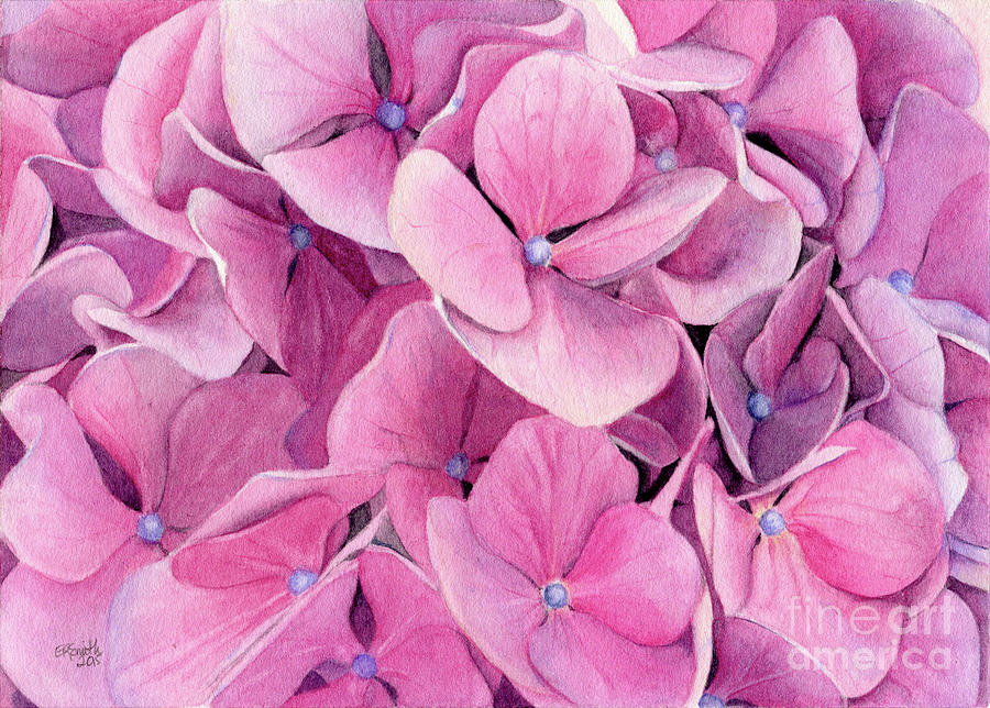 Flowers Still Life Painting - Pink Hydrangea by Elizabeth Smith