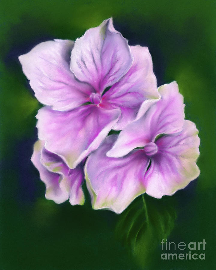 Pink Hydrangea Flowers Painting by MM Anderson