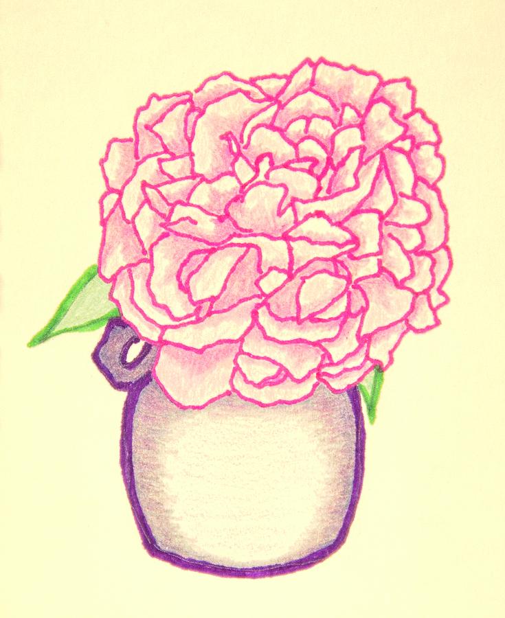 Pink Hydrangea Drawing by Karen Nice-Webb