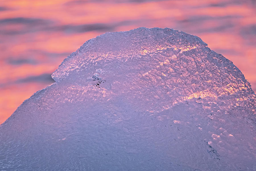 Pink Ice Diamond Beach Photograph by Catherine Reading