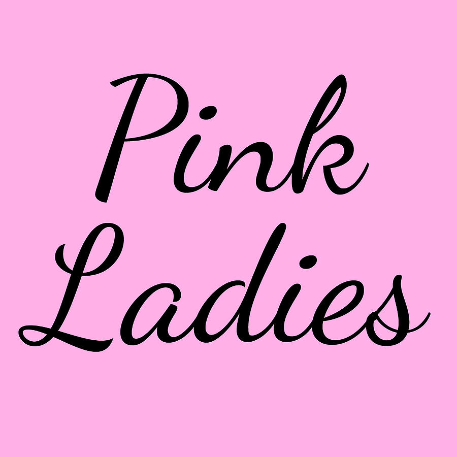 Pink Ladies Poster Copy Painting by Lee Jake | Fine Art America