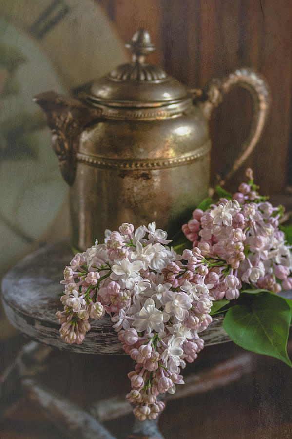 Pink Lilacs and Antique pot Photograph by Lisa Bryant