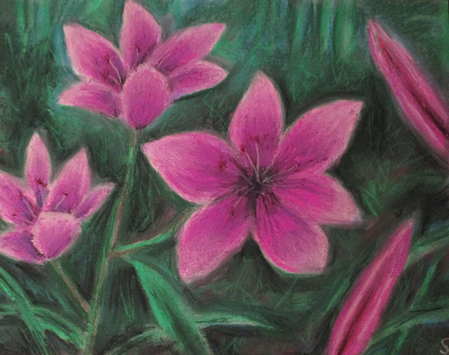 Pink Lilies Painting by Jen Shearer
