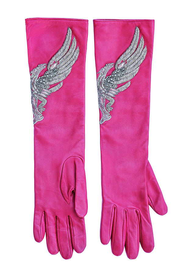 Pink long gloves with silver embroidered phoenix Photograph by Iuliia Malivanchuk